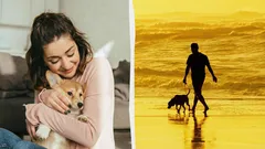 Nejen psi jsou nejlepšími přáteli člověka: kdo další rozumí lidem beze slov